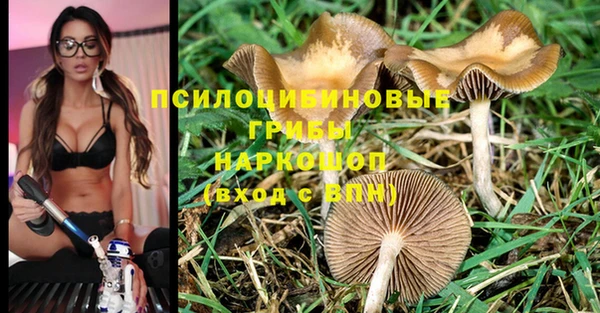 молекула духа Нефтекумск