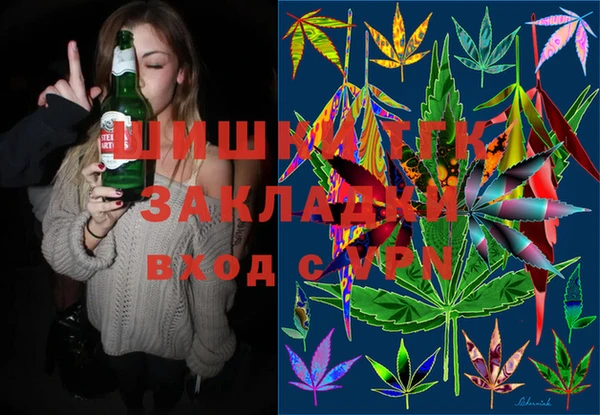 стаф Абинск