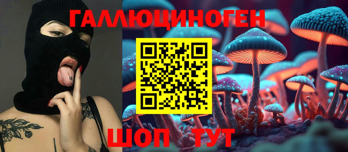Усть-Кут  Псилоцибиновые грибы мицелий  Вход с VPN 