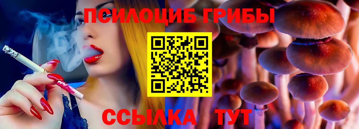 Псилоцибиновые грибы GOLDEN TEACHER Усть-Кут